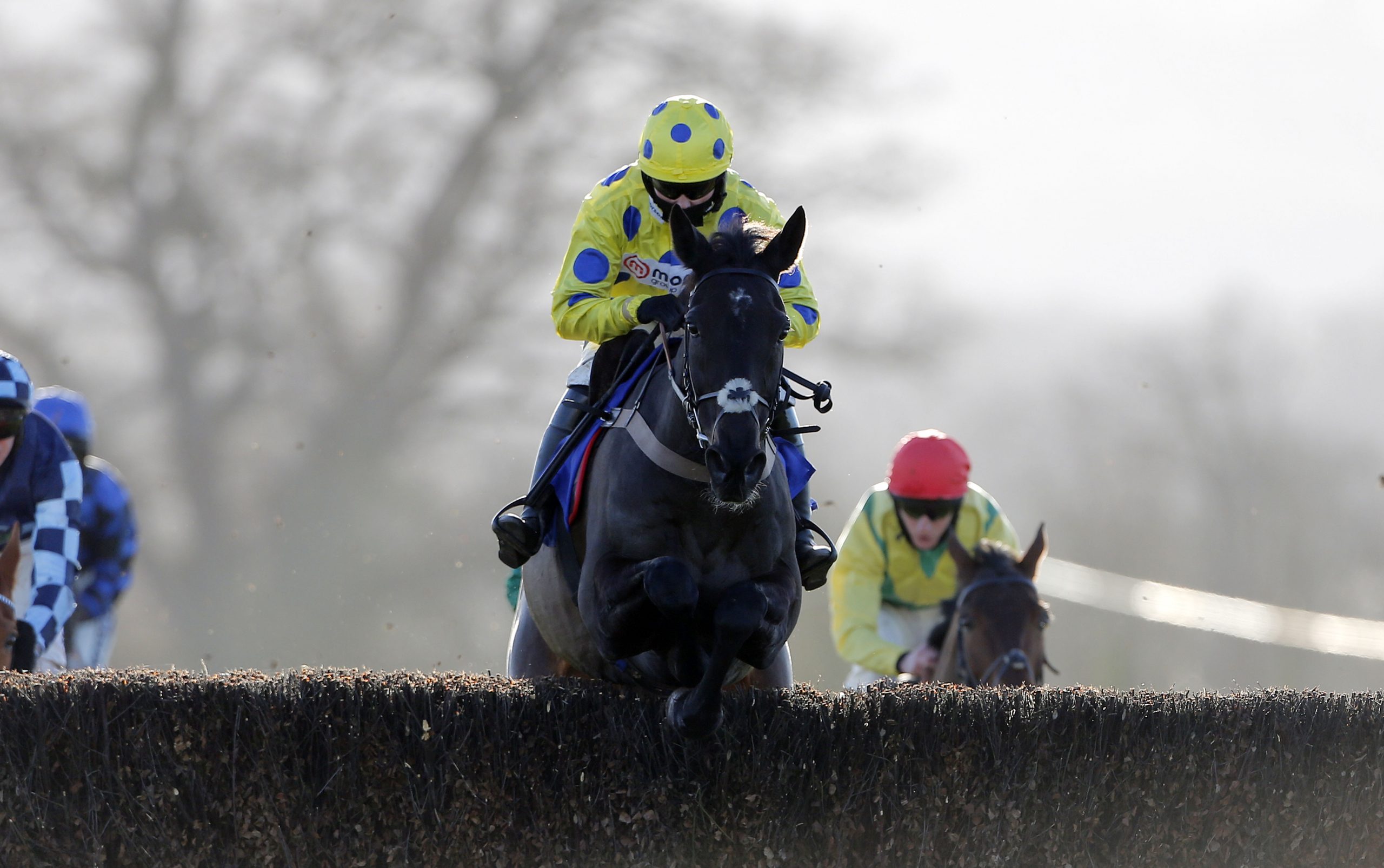 Taunton Races, Taunton, UK 23 Jan 2021 Taunton Racecourse